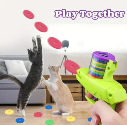 interactief kattenspeeltje